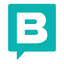 Storyblok icon